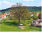 Haanbauern-Eiche